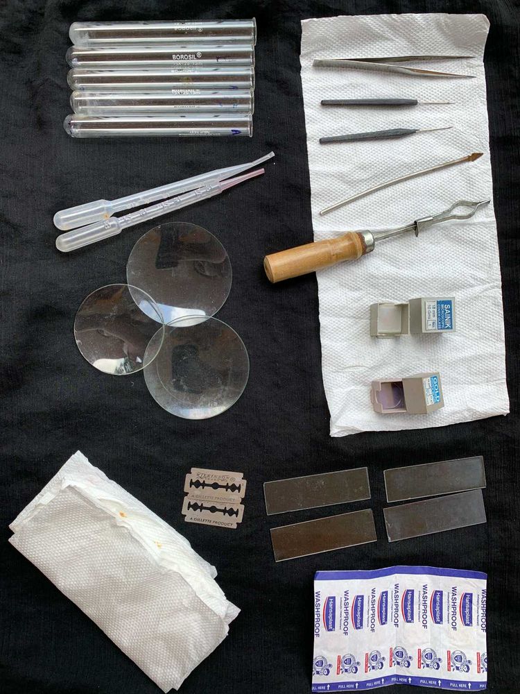 Disection Kit For Students