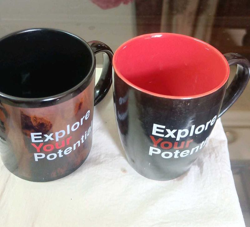 Brand New Milk/Coffee Mugs Bone China With Box