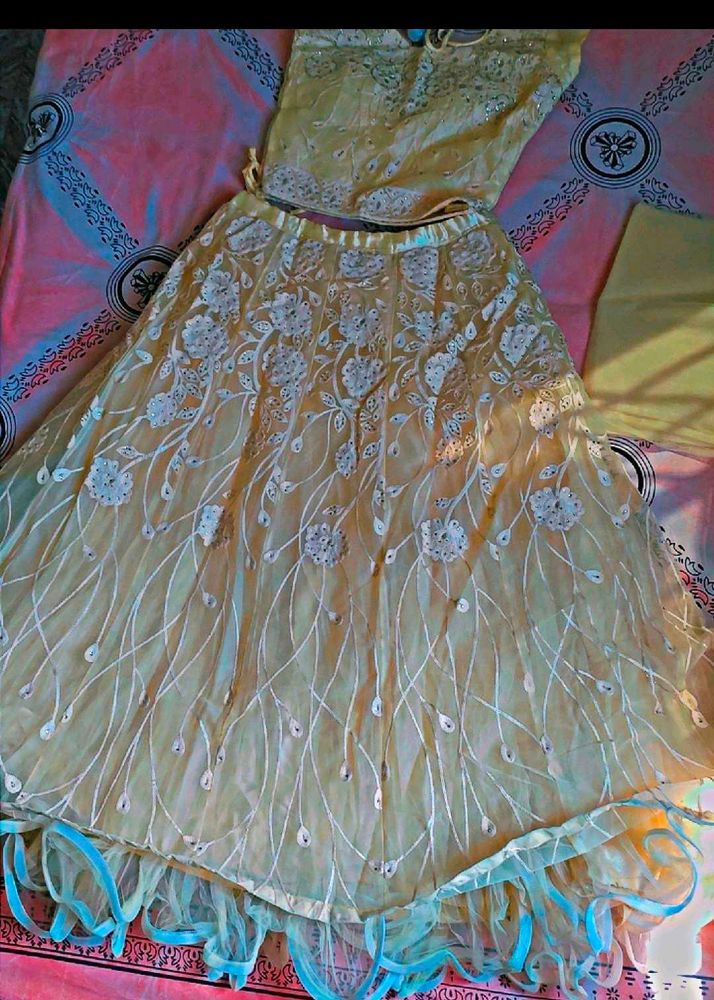 Elegant Yellow Embroidered Lehenga Choli