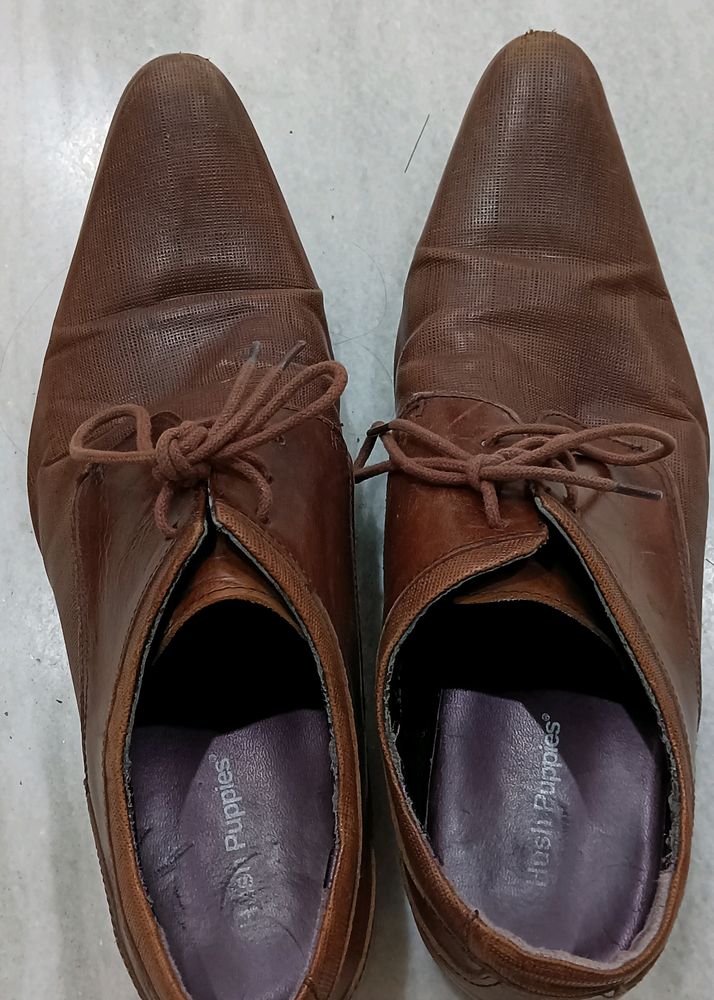 Brown Hush Puppies Men's Shoes