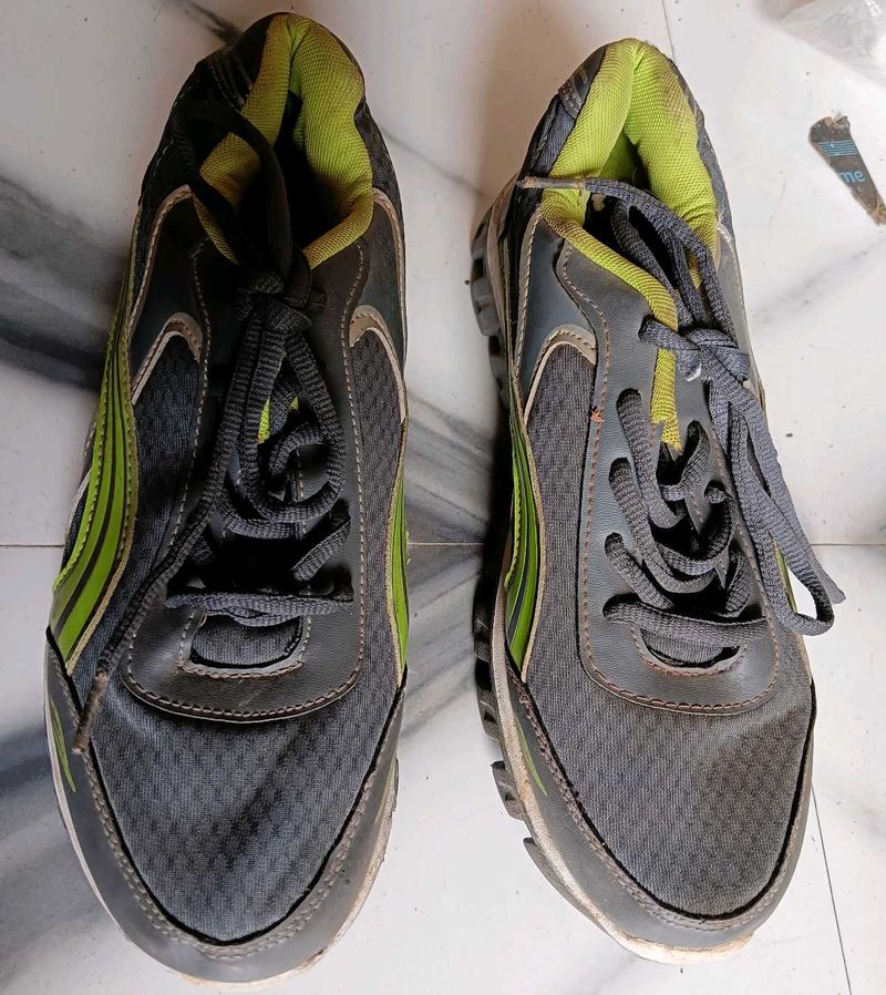 Gray &amp; Green Athletic Shoes