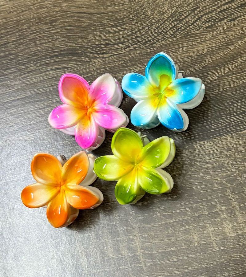 Colorful Flower Claw Clips🌼✨|Set-4 Floralclip
