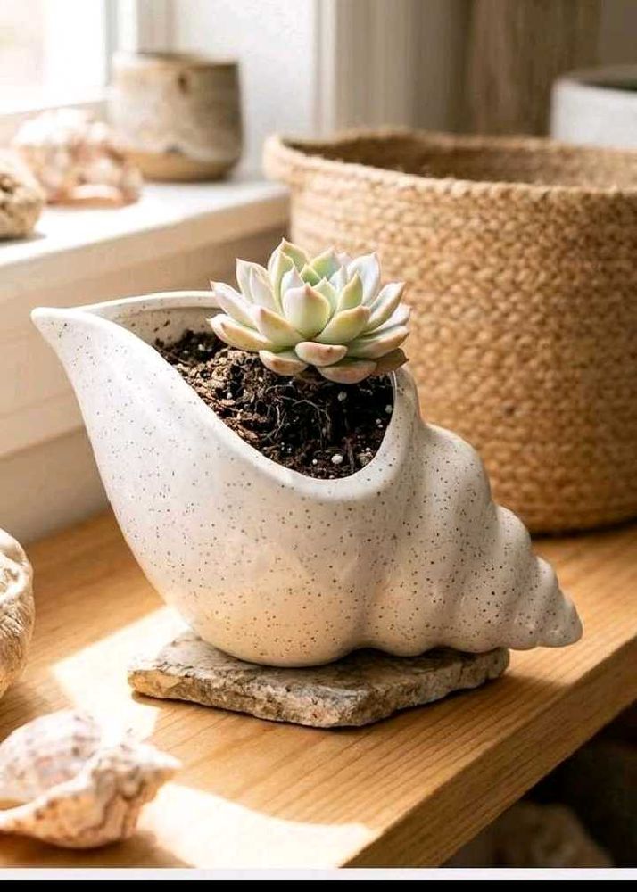 Unique Seashell Planter Pot
