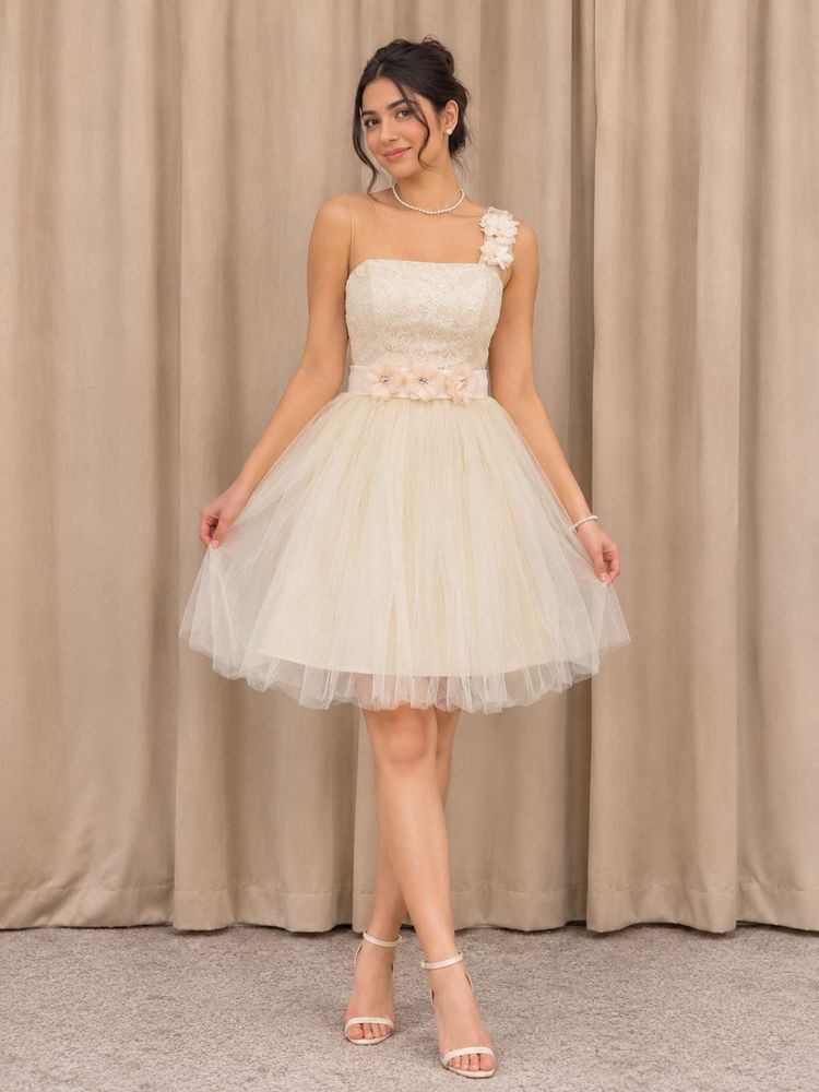Cream Tulle Dress with Floral Embellishments
