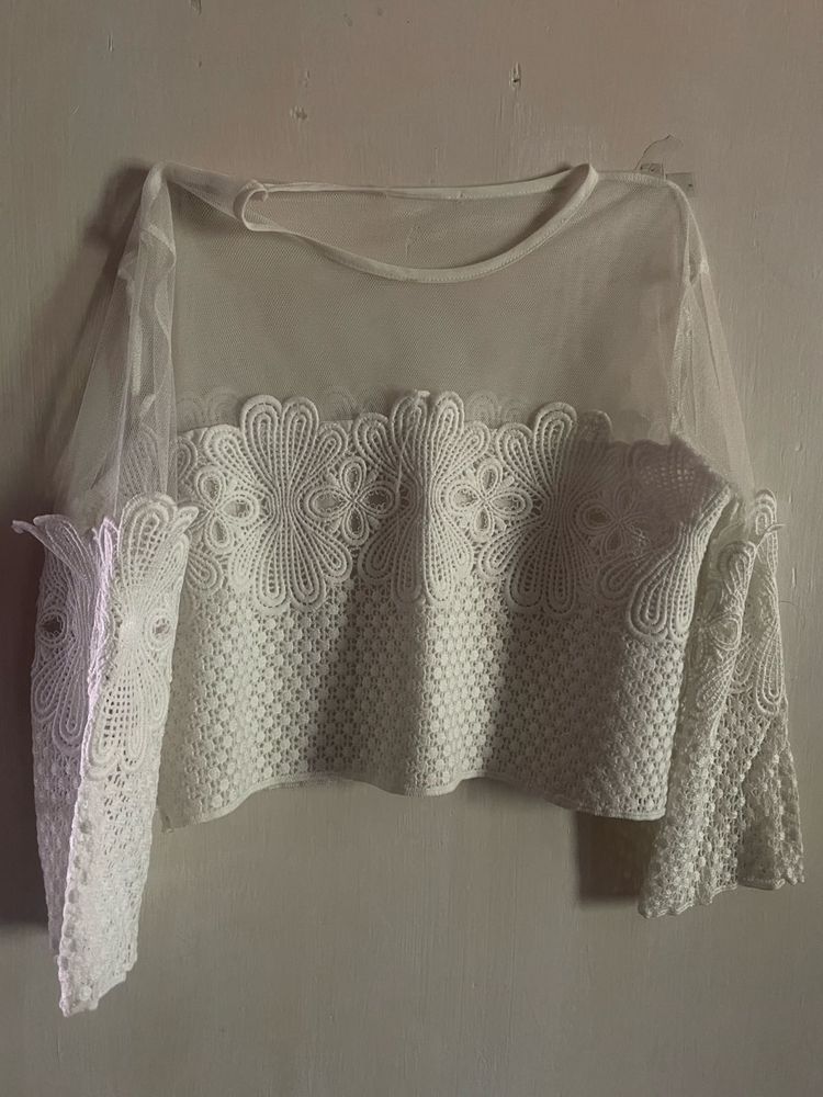 Sheer Lace Sleeve Top/Blouse