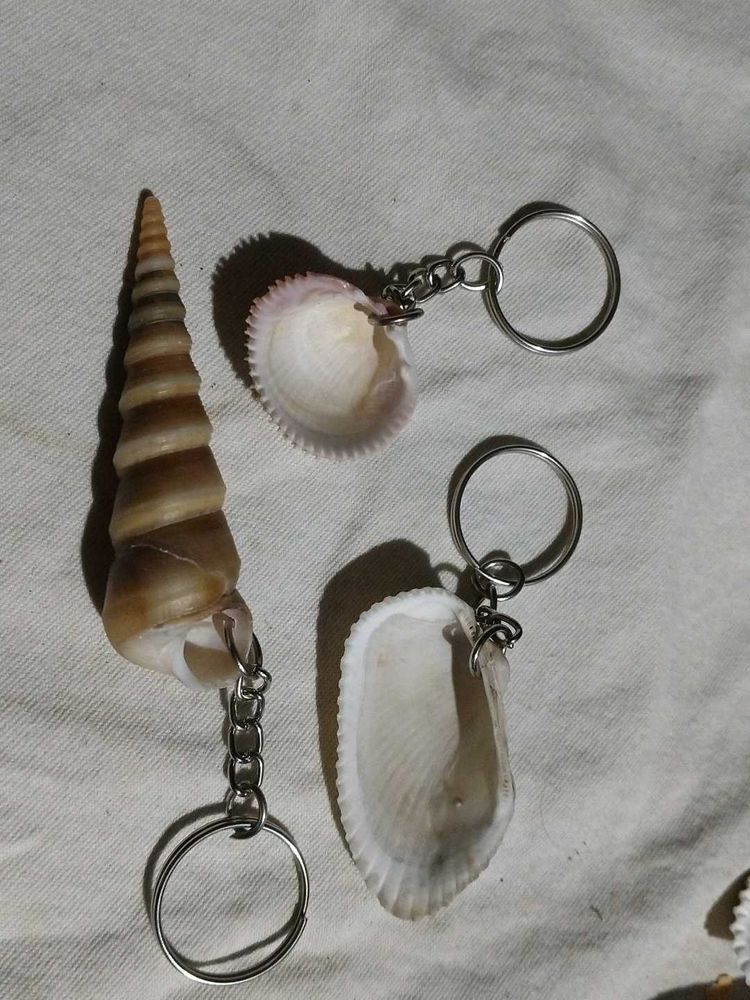 3 Handmade Seashell Keychains