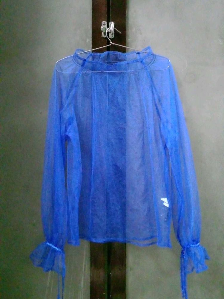 Sheer Blue Lantern Sleeve Top
