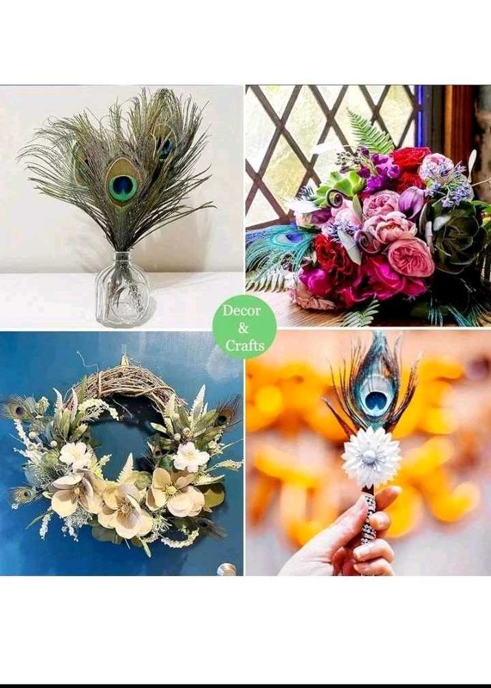 Elegant Peacock Feather Decor(8)