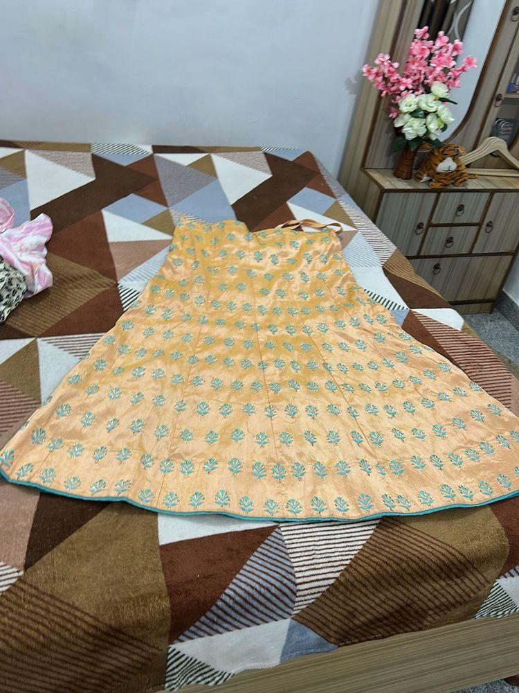 Embroidered Ethnic Skirt - Peach