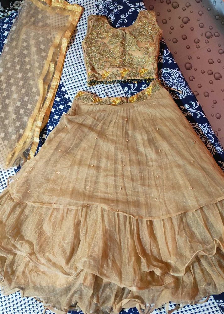 Beautiful Net Lehenga