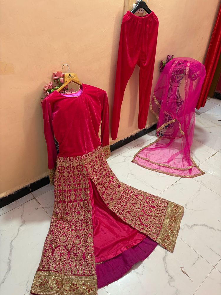 Elegant Pink Velvet Embroidered Suit