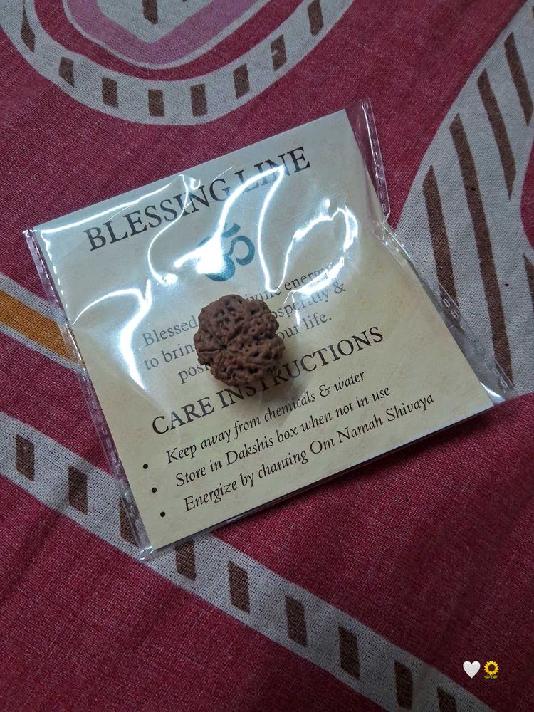 Blessing Line Rudraksha