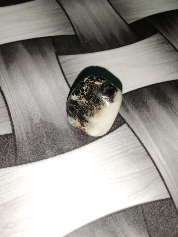 Dalmatian Jasper Stone