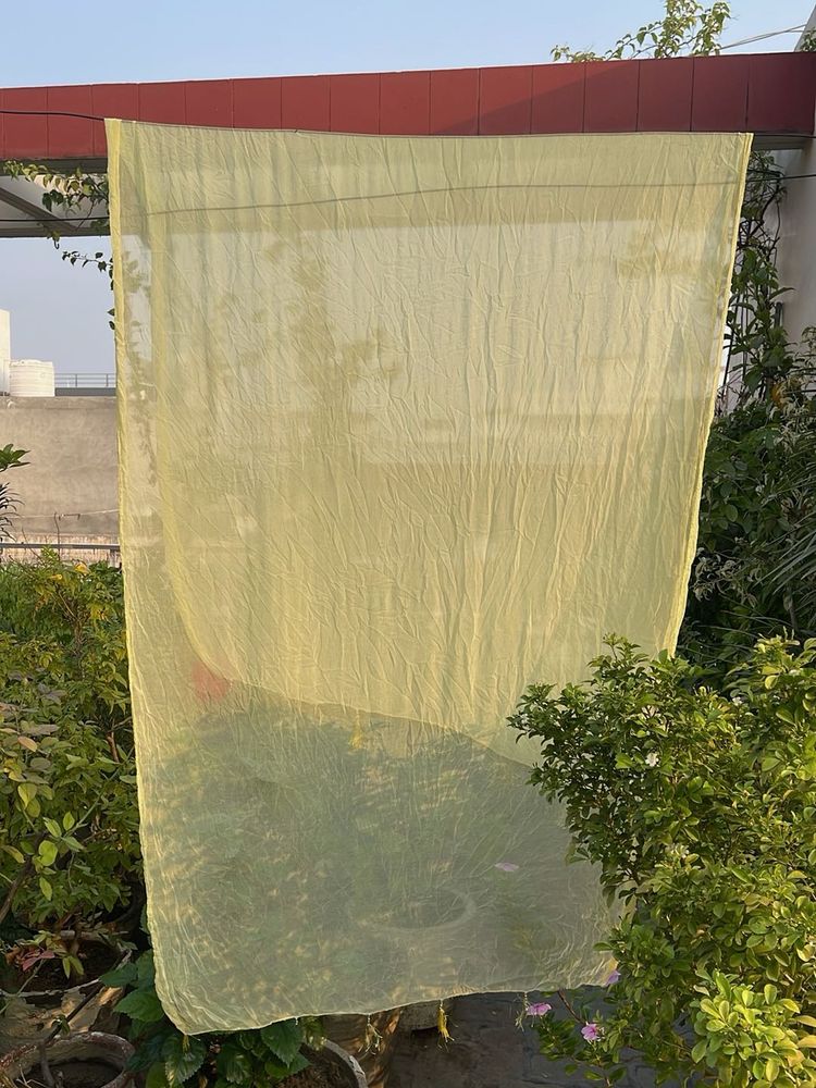 Elegant Light Yellow Dupatta