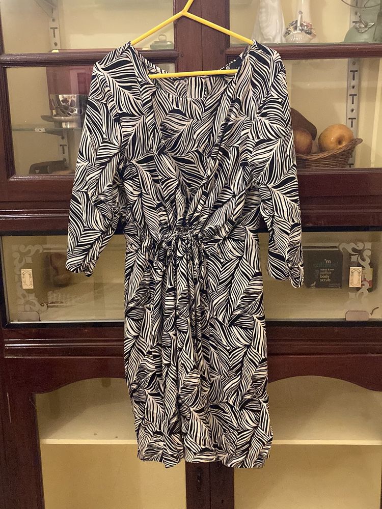 Zebra-striped Dress
