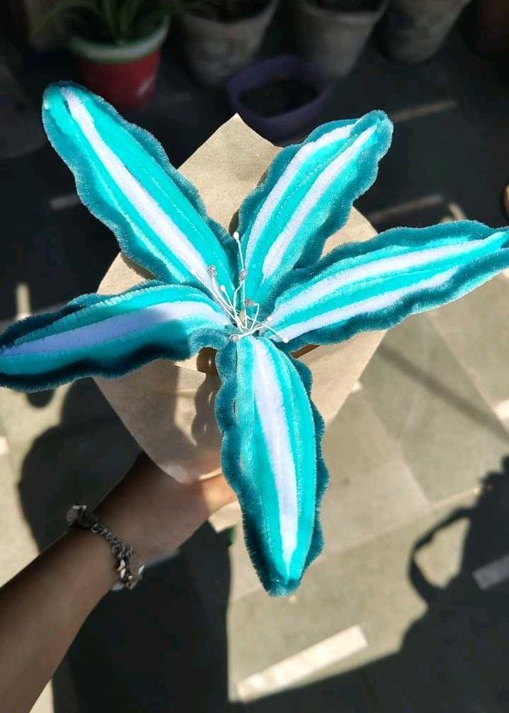 Fuzzy wire flower lily