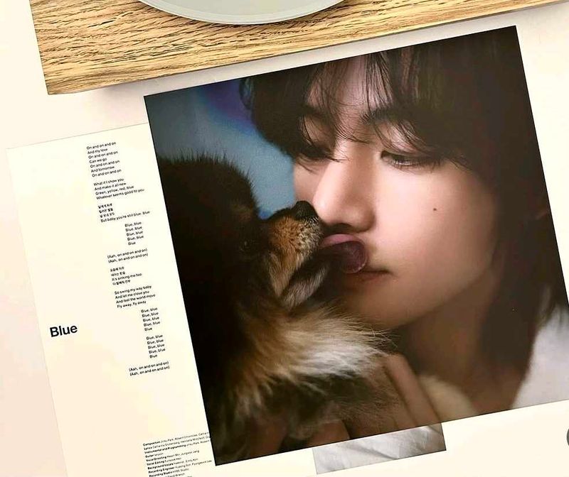 BTS V Layover Vinyl Posters