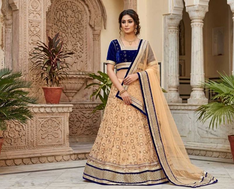 Elegant Royal Blue Velvet Blouse &amp; Net Lehenga