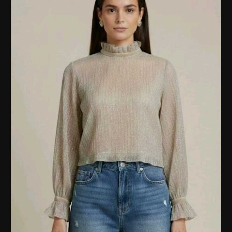 Elegant Ruffled Neck Long Sleeve Top