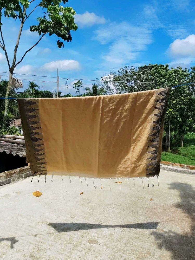 Elegant Beige &amp; Black Woven Saree