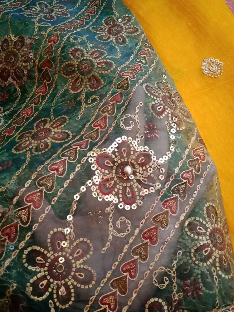 grand saree🌟