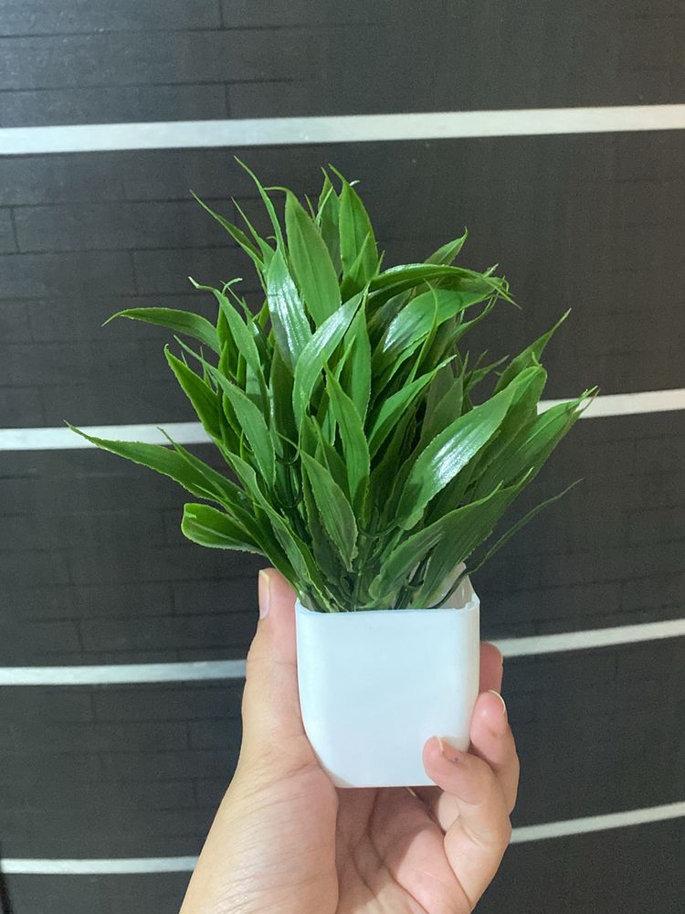 plastic artificial plant 1 piece