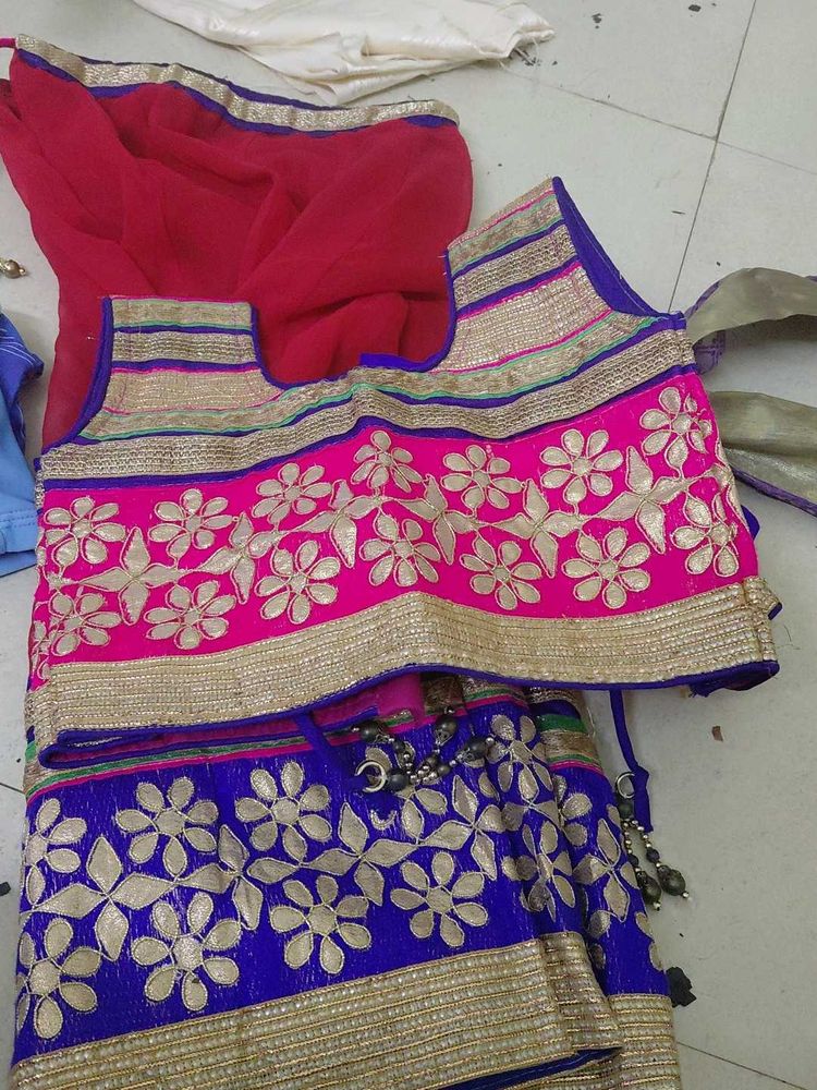 Embroidered Lehenga Choli Set