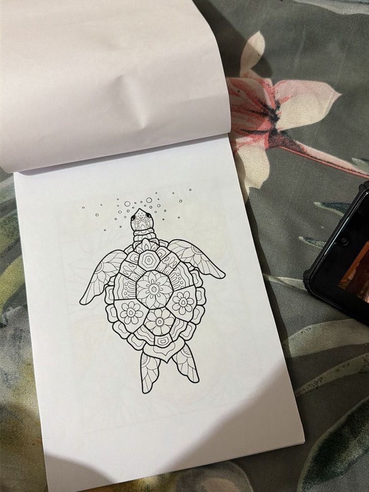 Turtle Coloring Book Page