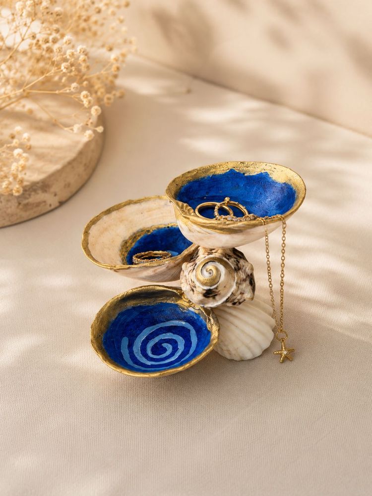 Og Seashell Trinket Dish Decor
