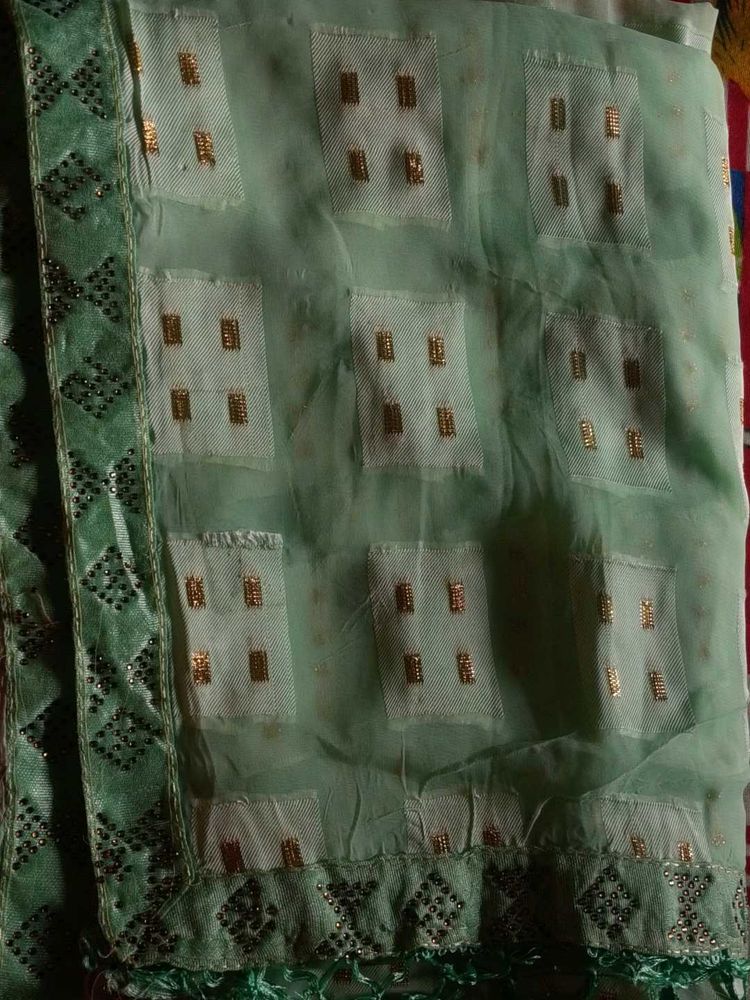 Elegant Pastel Green Saree