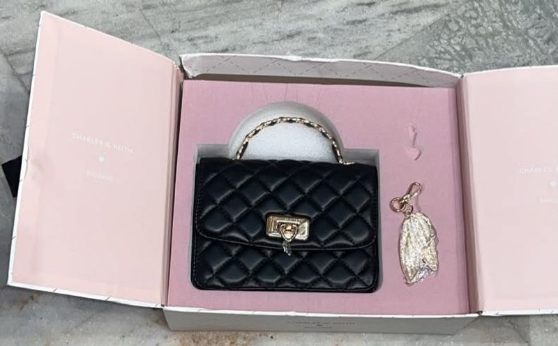 Charles &amp; Keith Quilted Crossbody Bag
