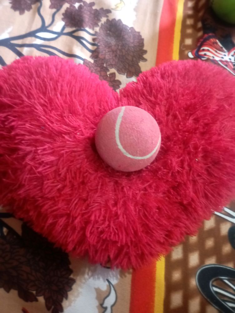 Leather Ball For Playing Cricket