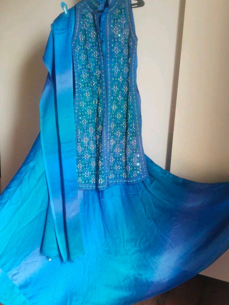 Partywear Lehenga/Gharara (4 piece set)