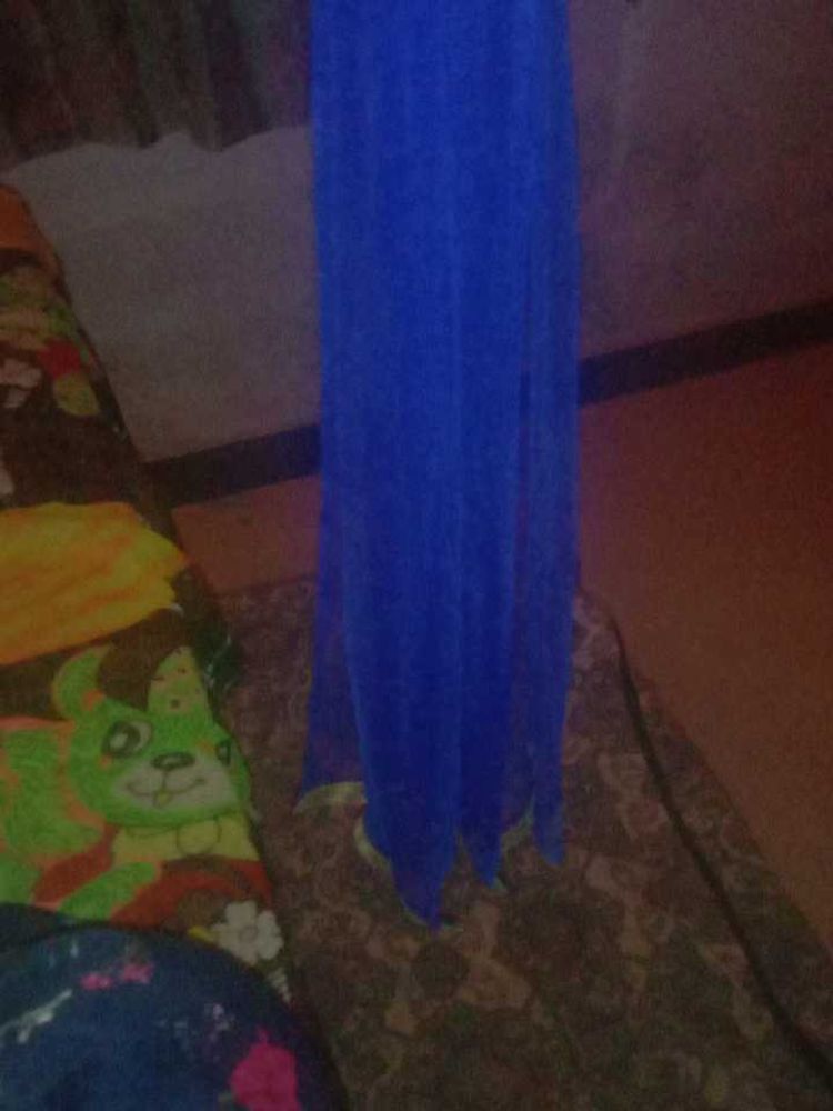 Teal Embellished Dupatta
