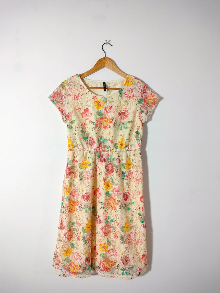Multicolour Casual Dresses (Women's)