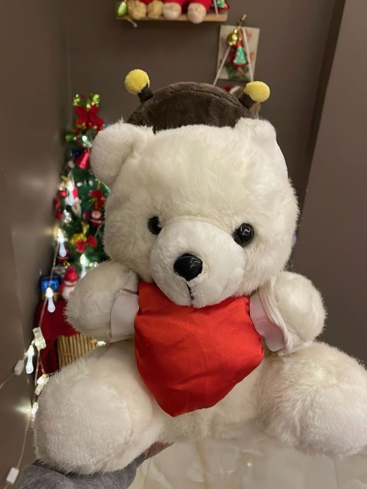Cute Plush Bear