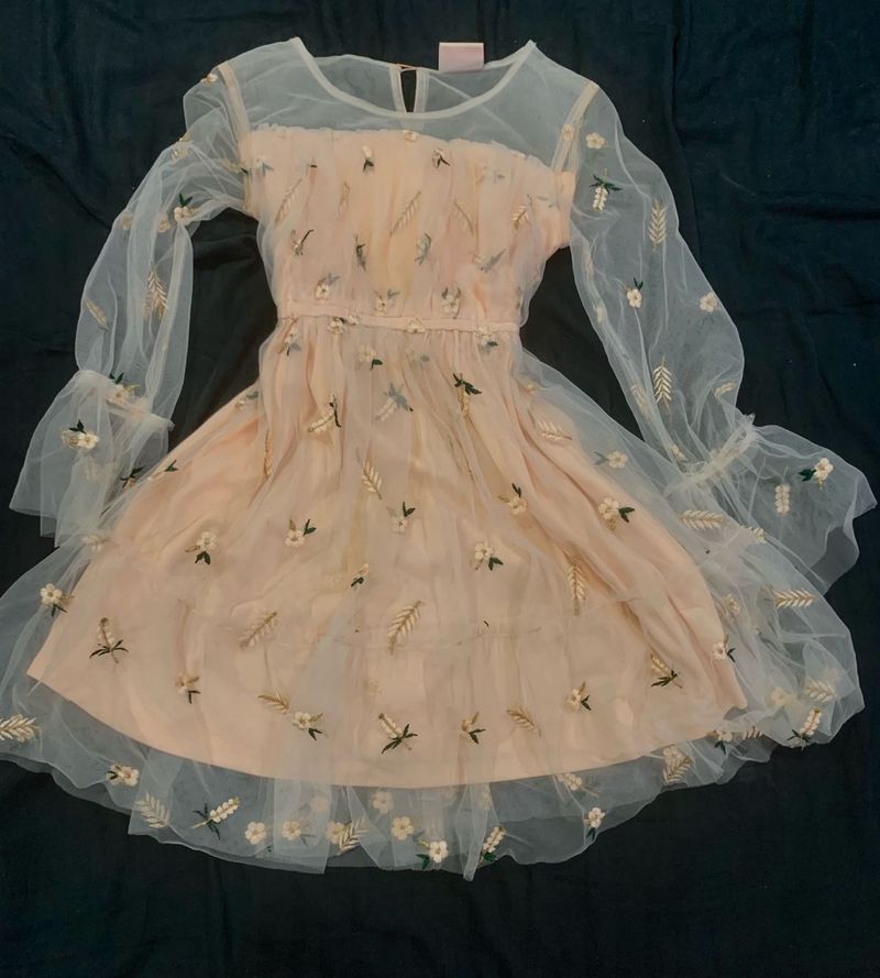 Peach Embroidered Tulle Dress