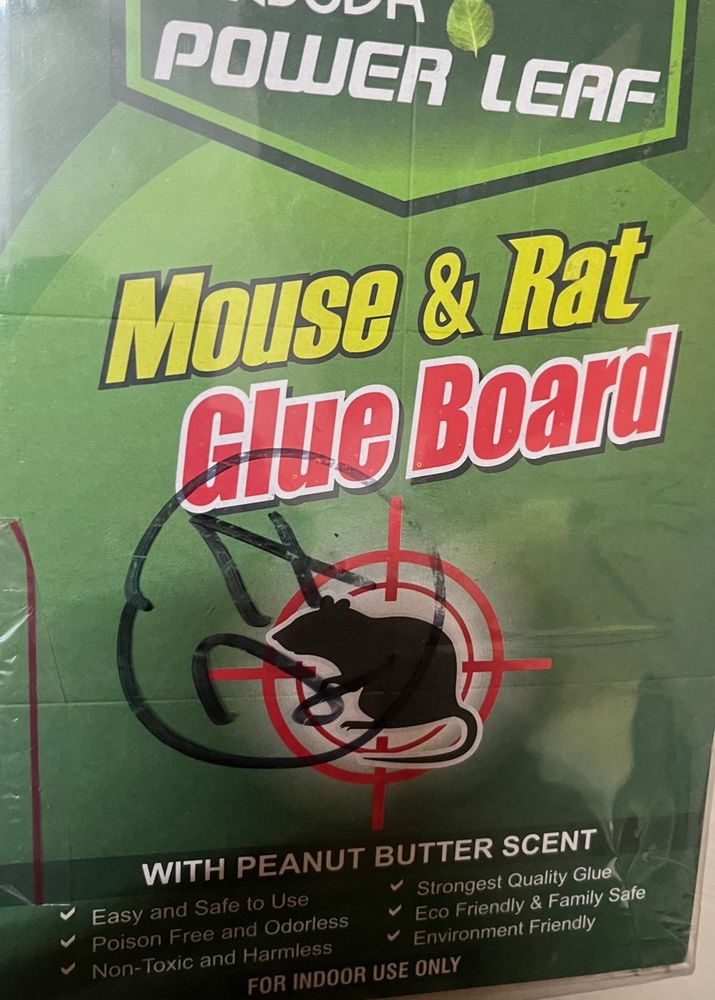 Mouse &amp; Rat Glue Board