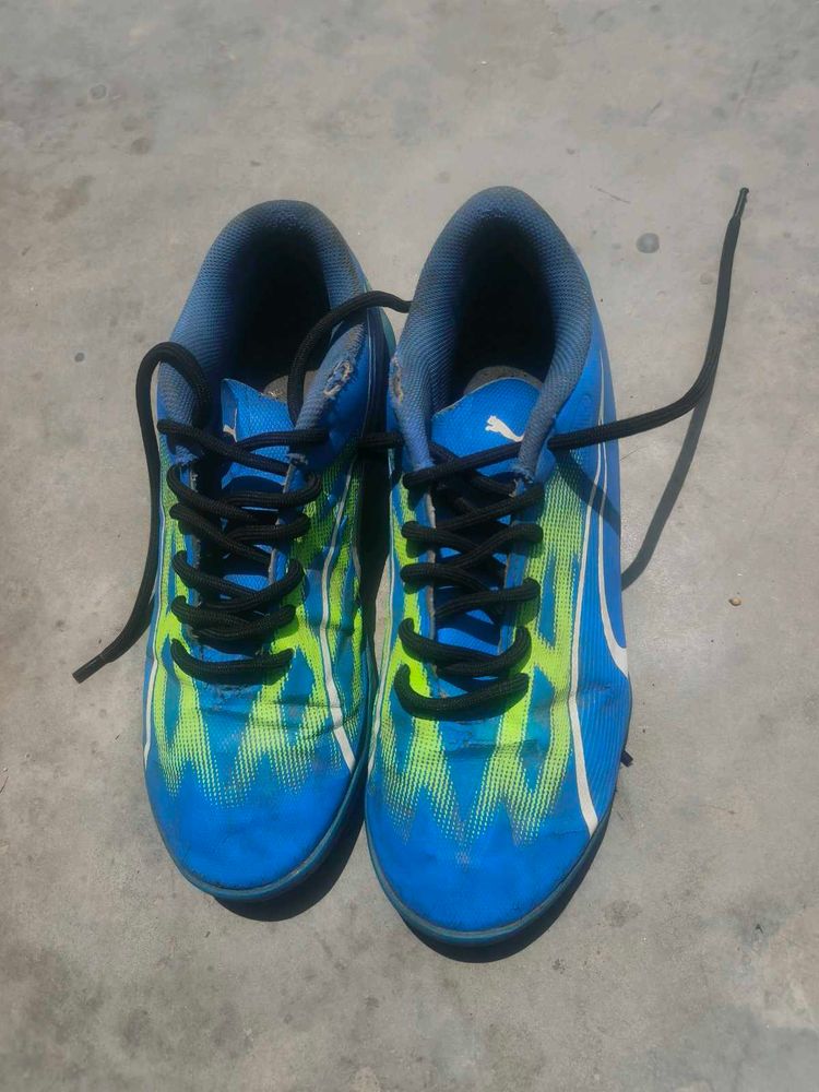 Puma Blue Green Soccer Cleats