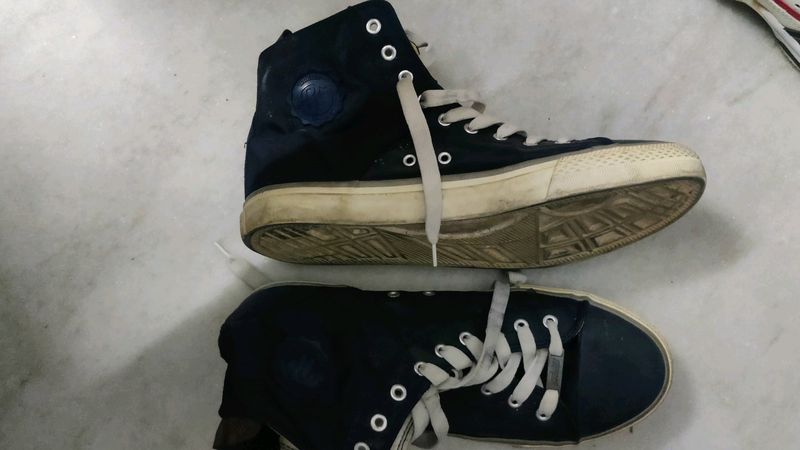 Shoe Roadster