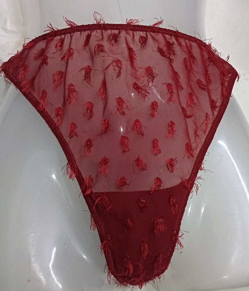 Sheer Red💛 Briefs with Tassels