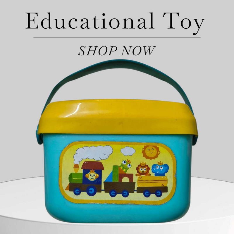 Educational Shape Sorting Blocks Toy