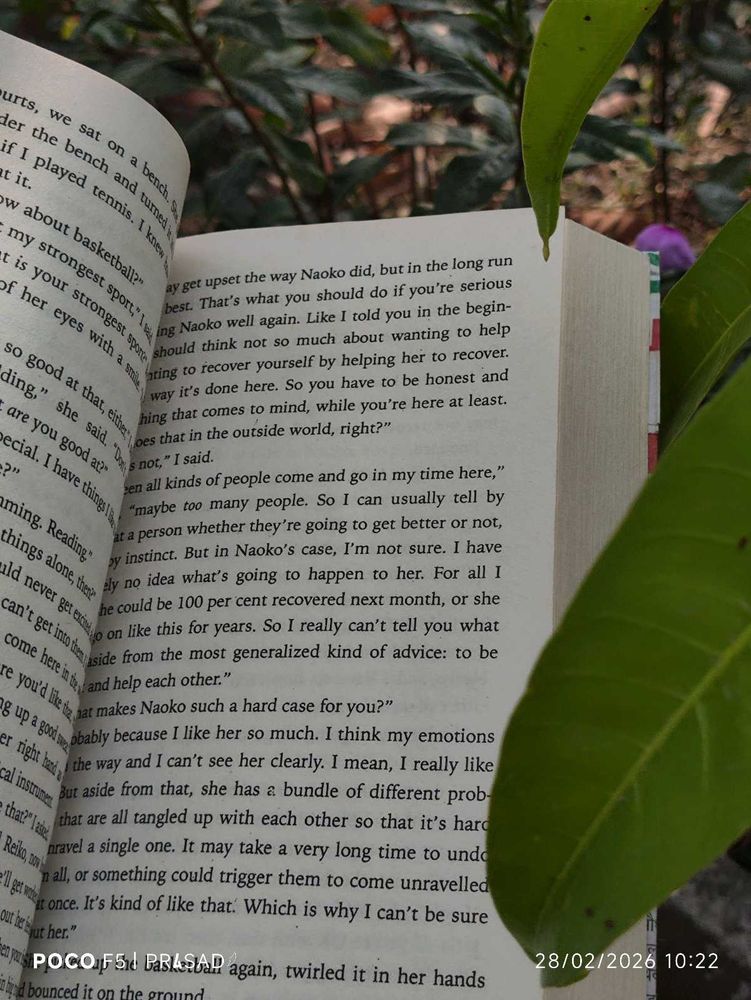 Paperback Novel