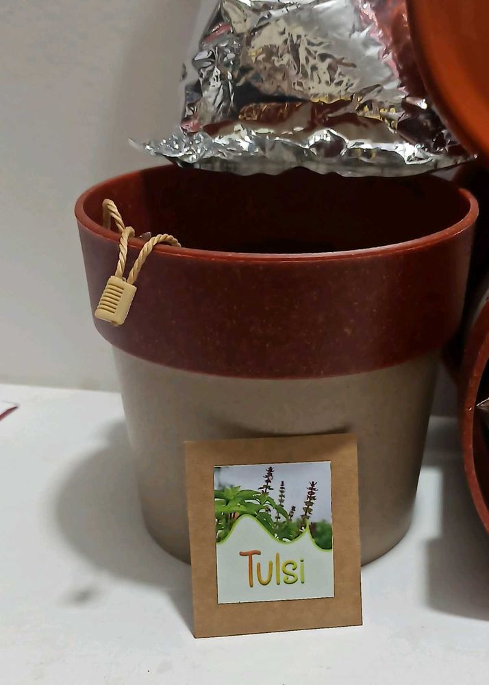 Tulsi Growing Kit