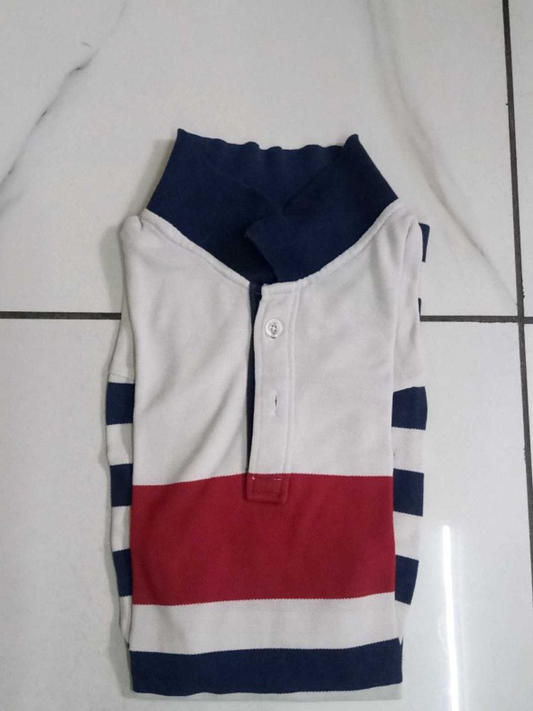 Striped Polo T-shirt