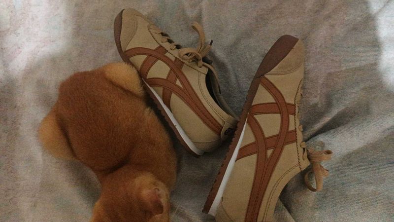 first copy of, onitsuka Tiger ,unisex