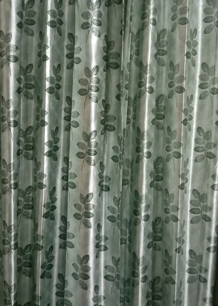 New Printed Curtains❤️