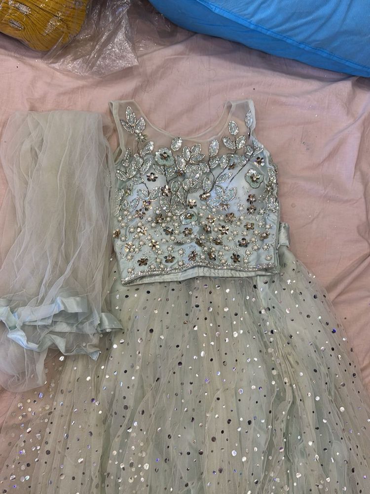 Embellished Lehenga Choli Set