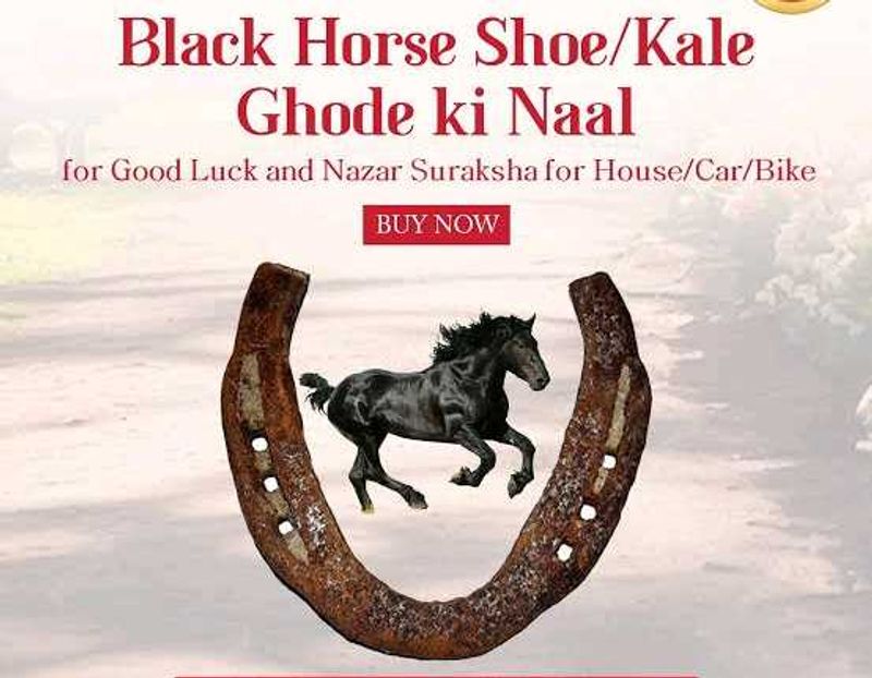 100% Original Kale Ghode ki naal in Iron