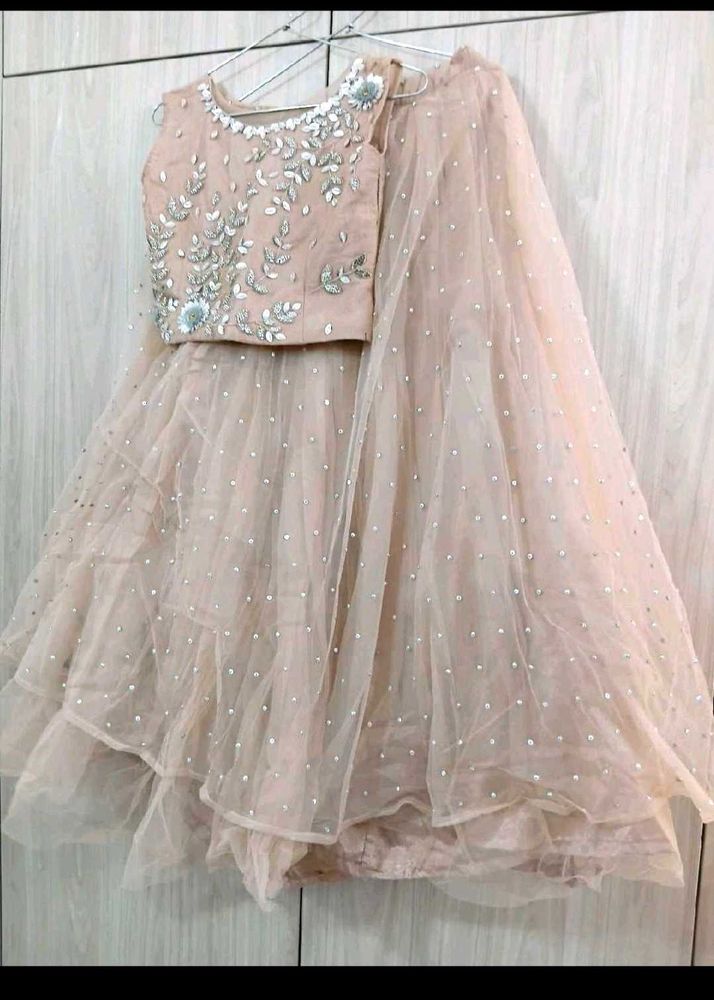 NEW Embellished Lehenga Set